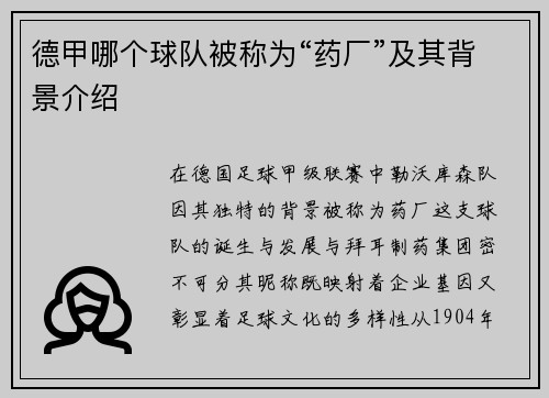 德甲哪个球队被称为“药厂”及其背景介绍
